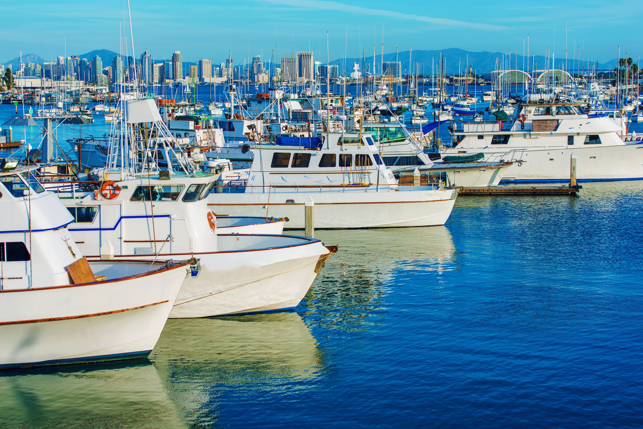 boatssandiegomarina Executive Boat And Yacht