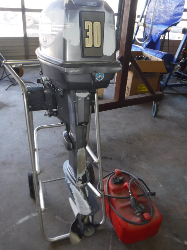 1999 Johnson "30hp 2-Stroke" Outboard Motor - Image 2