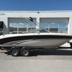 2002 22' Sea Ray "220 Bowrider"