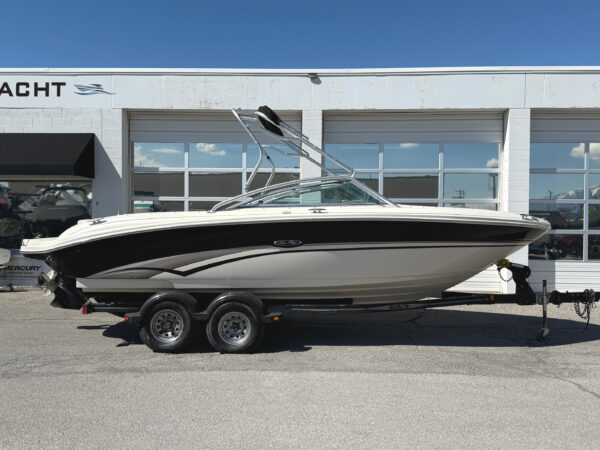 2002 22' Sea Ray "220 Bowrider"