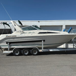 1990 27' Sea Ray "270 Sundancer"
