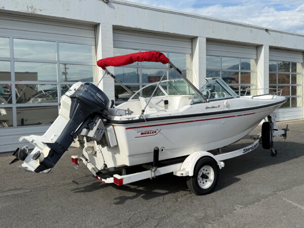 1996 17' Boston Whaler "Dauntless" - Image 3