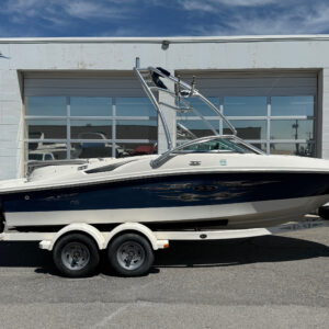 2008 19' Sea Ray "195 Sport" Bowrider